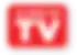 seen_on_TV